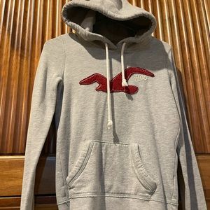 HOLLISTER CO. HOODIE
